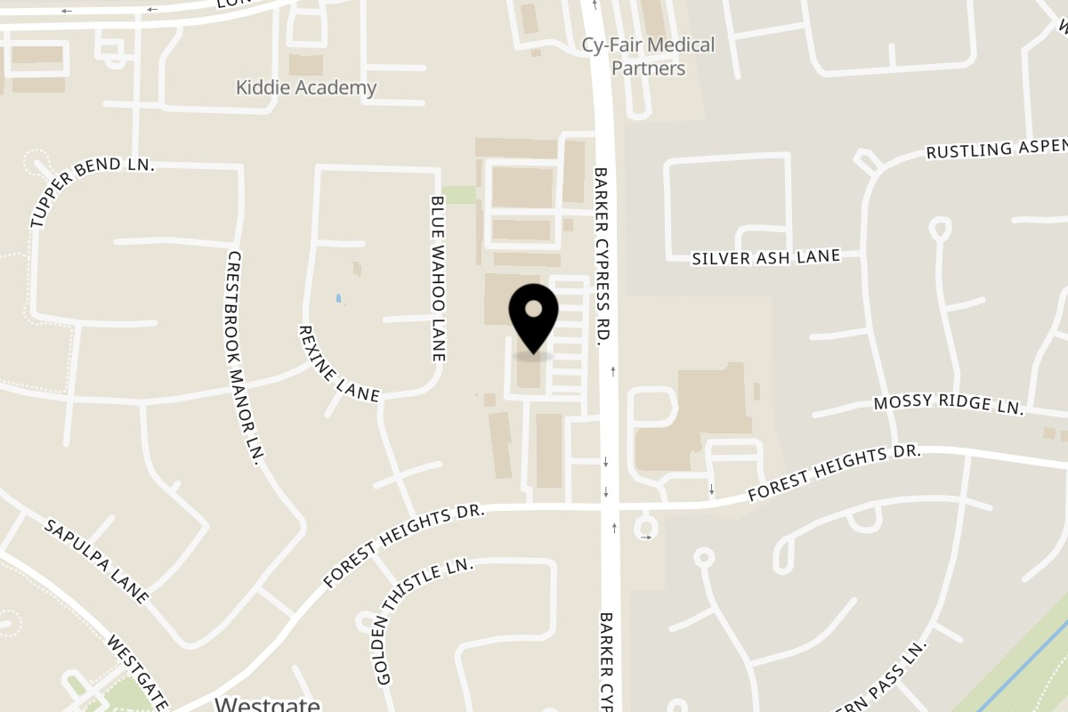 Map showing the location of Fish & Chicks on 7955 Barker Cypress Rd #200 in Cypress